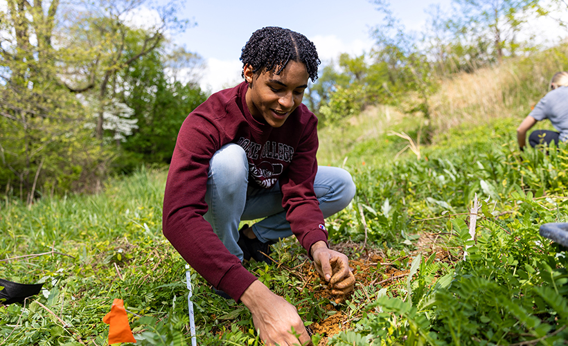 student working with native plants in the field