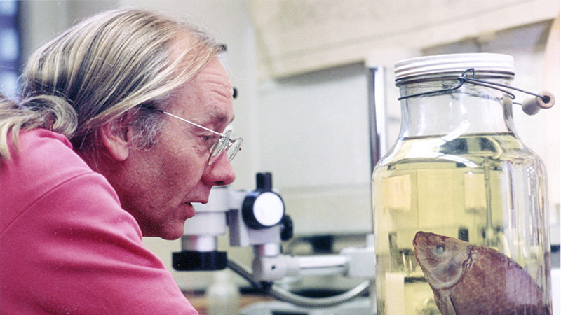 Bob Jenkins leans over and peers into a large jar that holds clear liquid and a whole fish specimen.