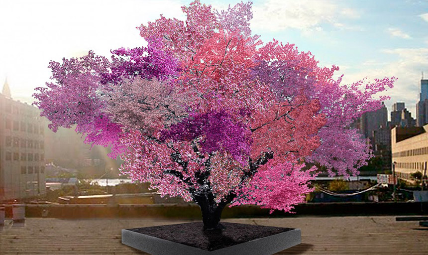 Tree of 40 Fruit honors Maxey’s 10th Anniversary news image