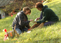 Students working at the archaeological excavation site