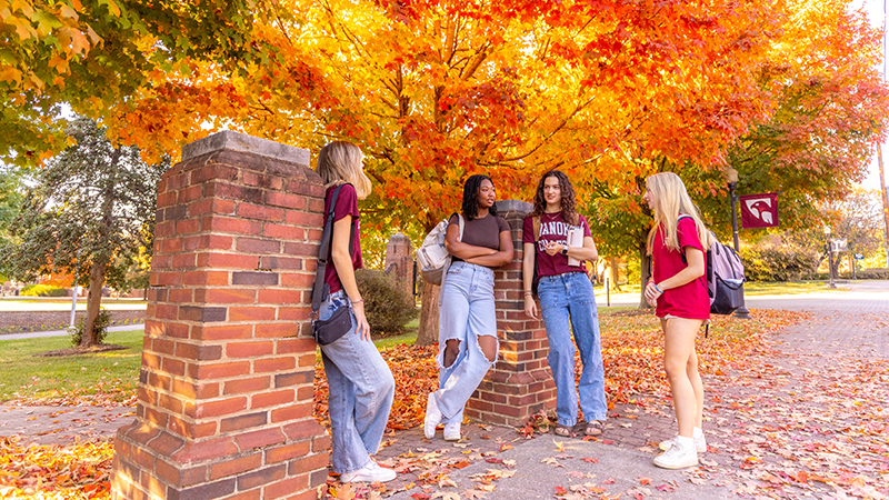 students talking with a tree with orange leaves behind them