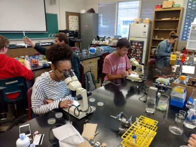 students looking into microscopes