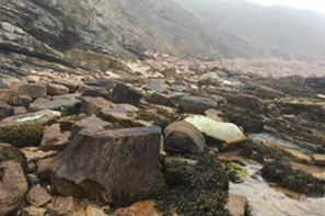 Crail - rocky foggy landscape