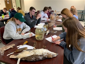 students in lab