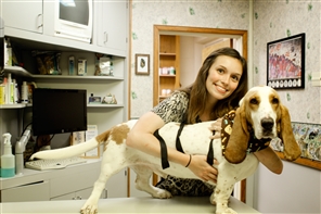 Veterinarian holding a dog