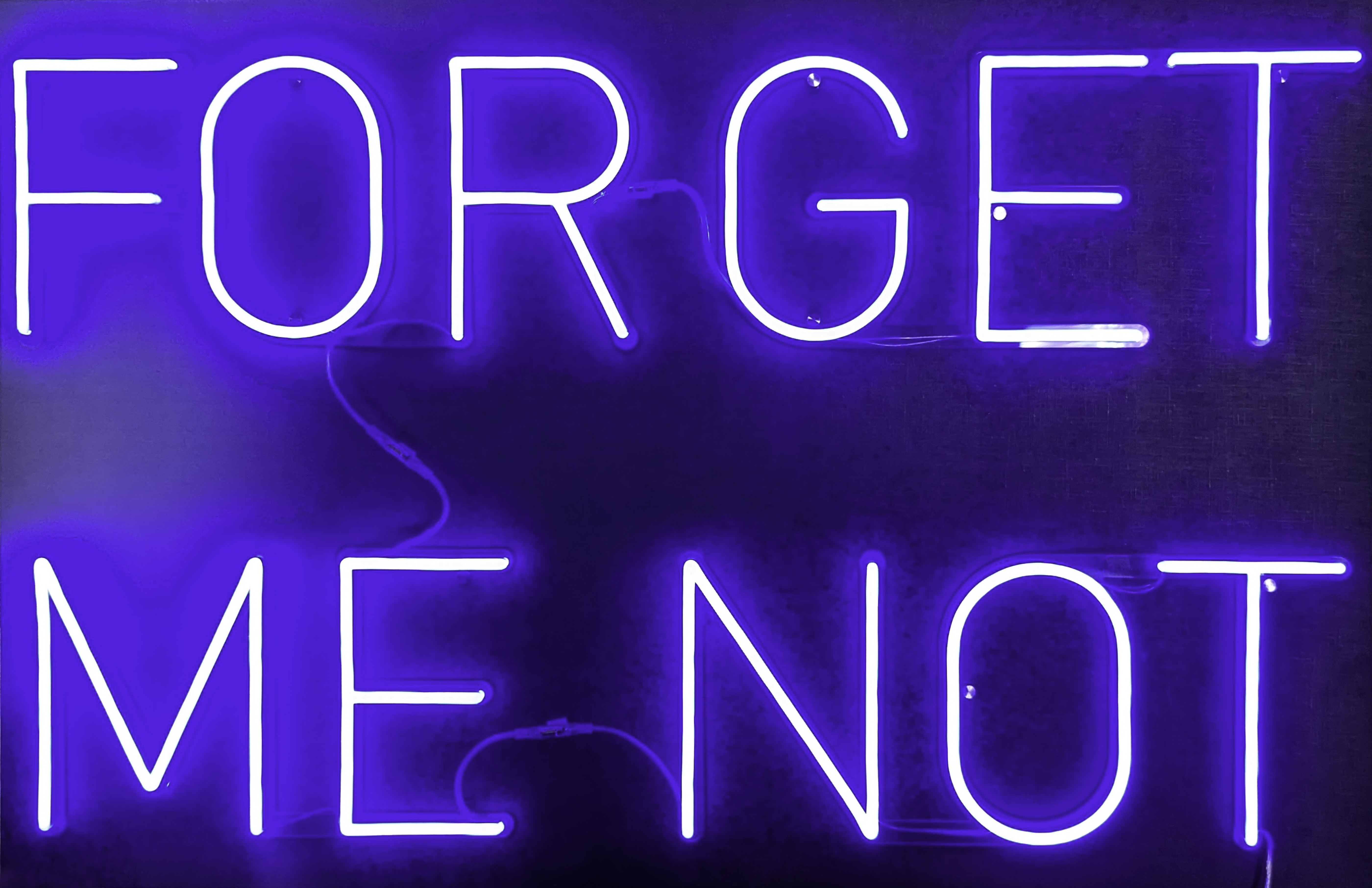 A neon sign spells out the words: Forget Me Not