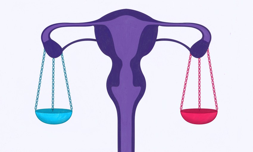 reproductive graphic with scale of law as ovaries