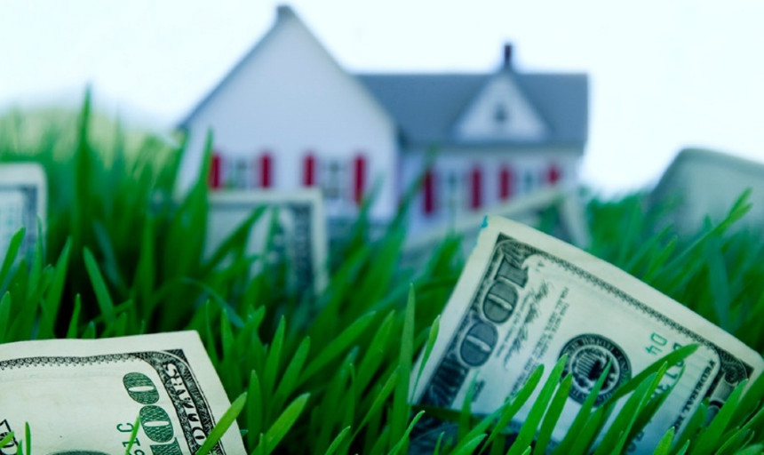 House with money in grass