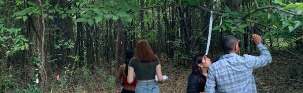 High school students measuring trees