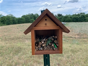 bee box