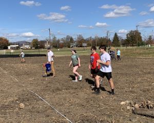 students planting meadow