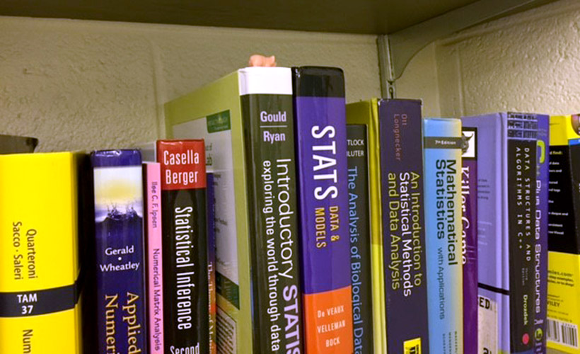 Pig on a book on a bookshelf