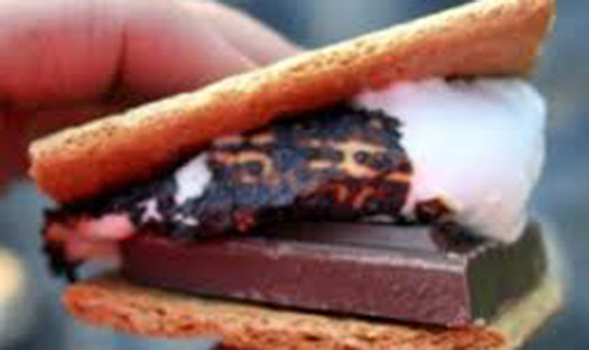 a picture of a smore