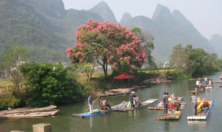 Rowing in Vietname