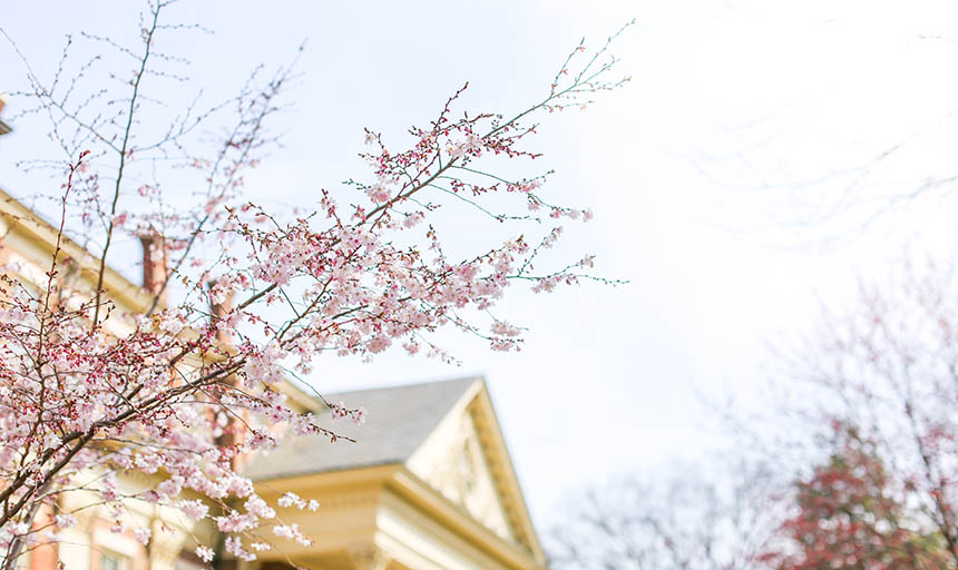 Some spring blooms in front of the administration building