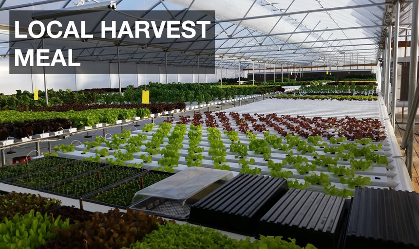 Local Harvest in a Green House