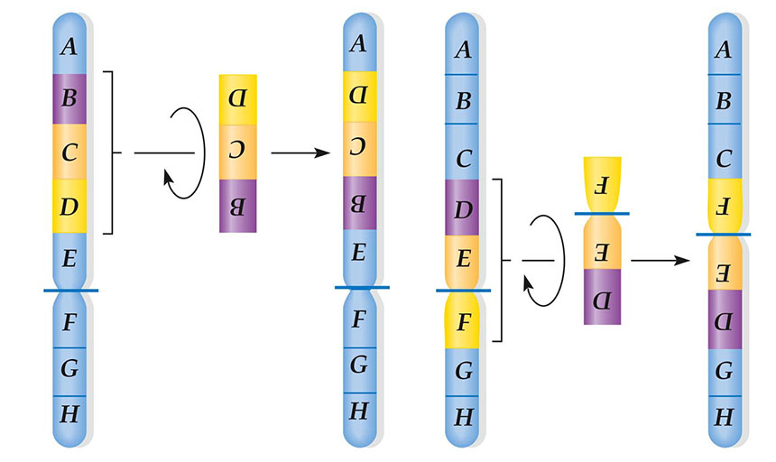 Biology Seminar