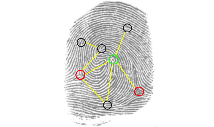 Fingerprint being analyzed