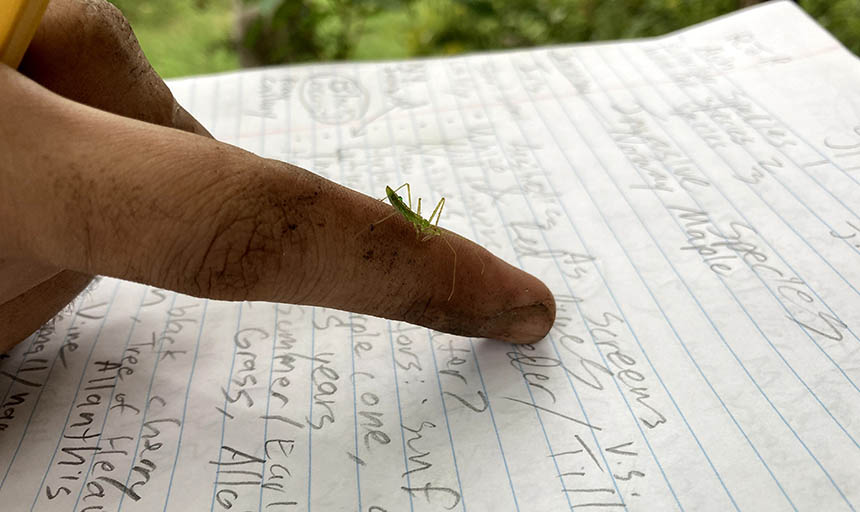 A bug sits on someone's hand that is resting on a notebook