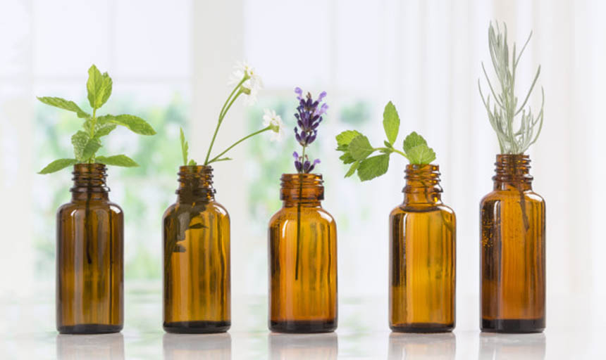 Four different herbs in four jars