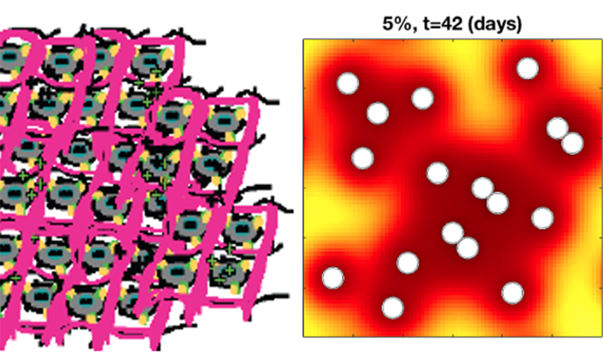 Two scientific models side-by-side