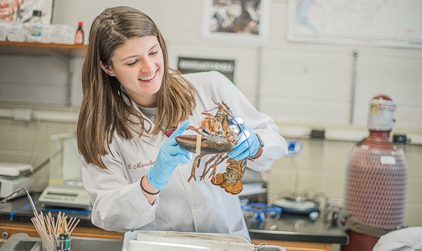 biology student in lab holding a lobster