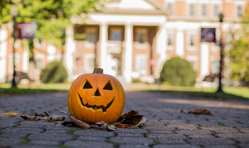 Pumpkin sitting in front of the admin building 