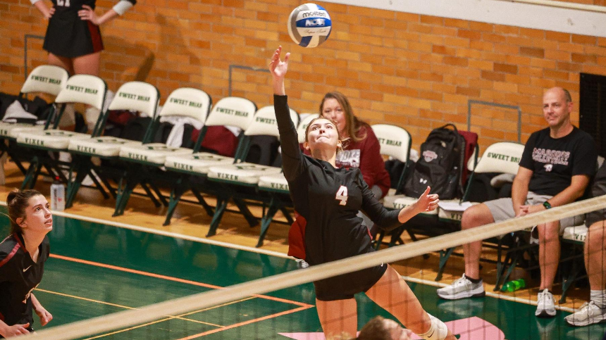 Women's Volleyball Game