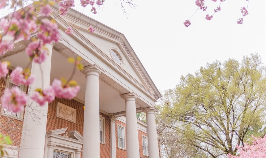 upwards photo of Fintel Library with pink florals in the corner