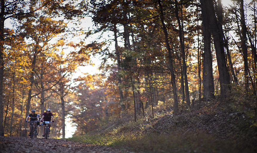 Students biking through the woods.