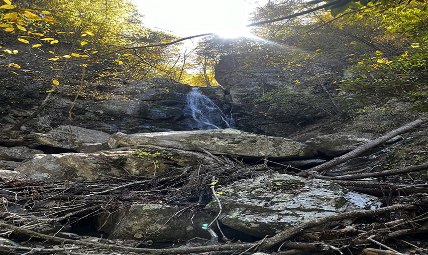 View rocks and trees in the woods.