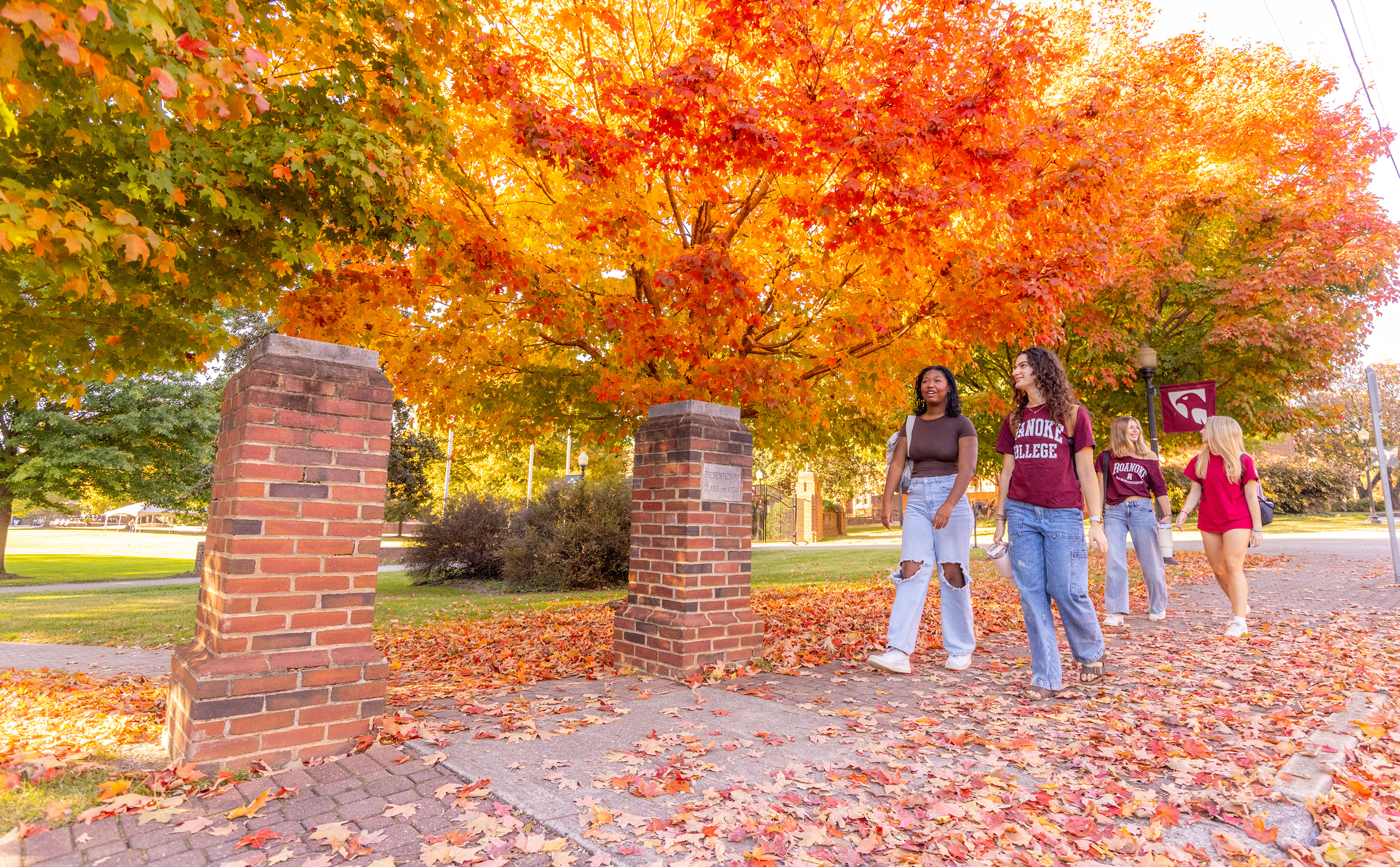 students walk across campus with leaves on the ground and trees at peak color