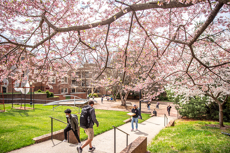 Students walking on sidewalk in the spring.