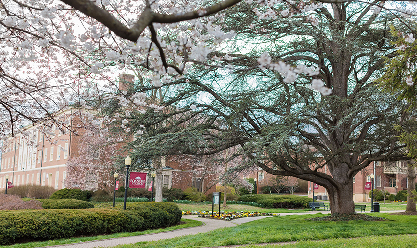 College earns Tree Campus USA honor Roanoke College