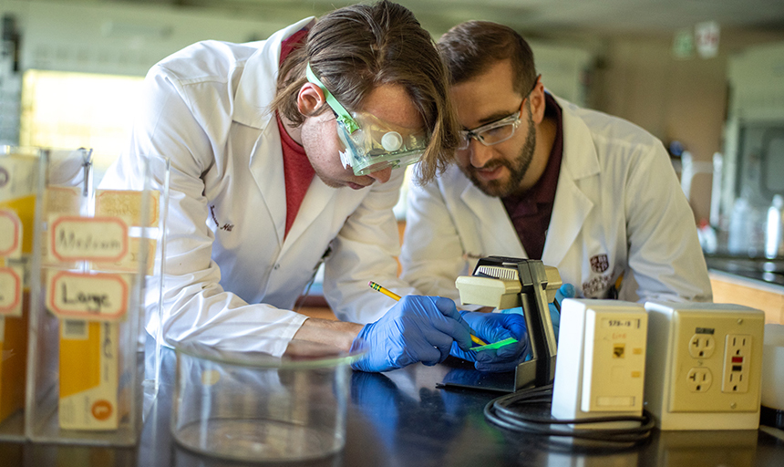 A student in goggles and a bearded man, both in white lab coats, work on a laboratory experiment together.