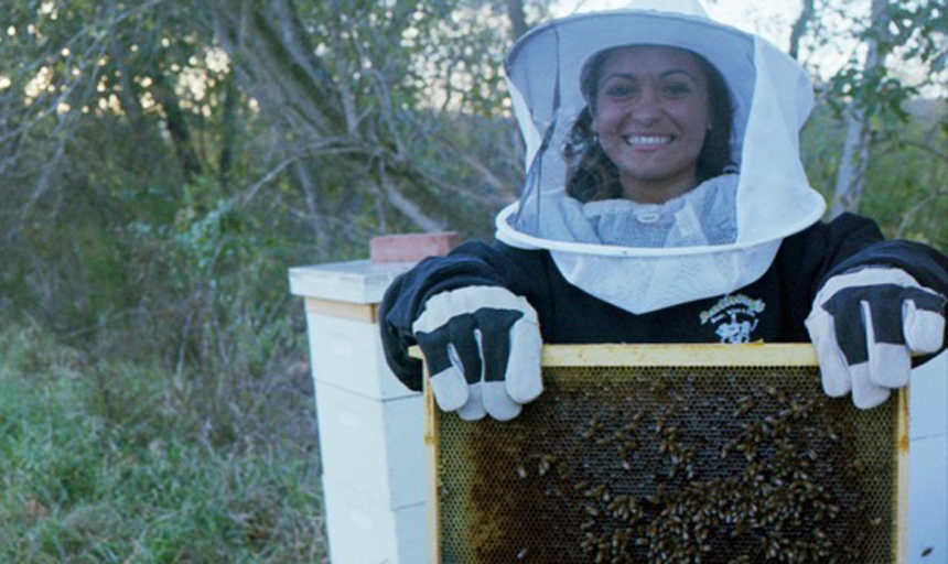 New beekeeping society buzzing at Roanokenews image