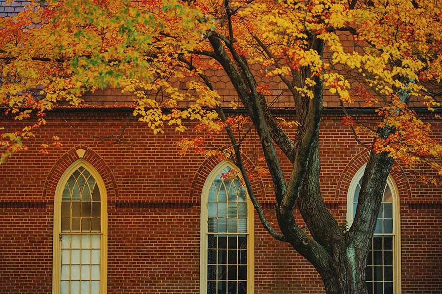 The steepled windows of Bittle Hall with an orange tree in the foreground.