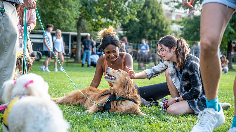 students sitting on the grass playing with a dog