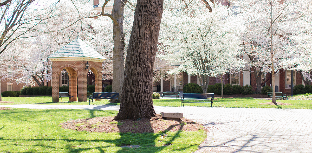 Admissions | Roanoke College