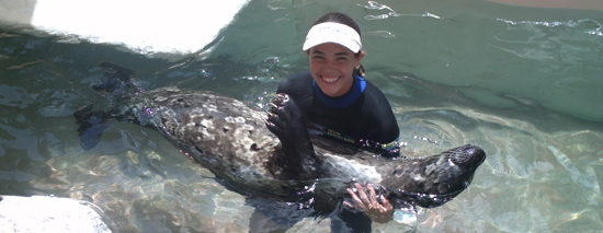 Student holding a sealion in the water